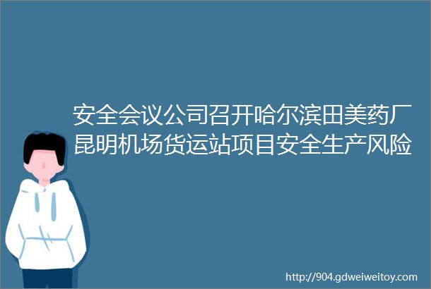 安全会议公司召开哈尔滨田美药厂昆明机场货运站项目安全生产风险评估会